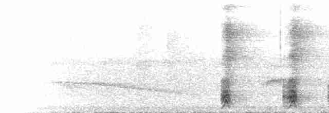 Einsiedlerliest (capucinus) - ML616862101