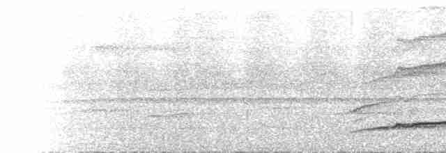 Синеголовый зимородок (capucinus) - ML616862103
