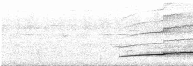 Синеголовый зимородок (capucinus) - ML616862105