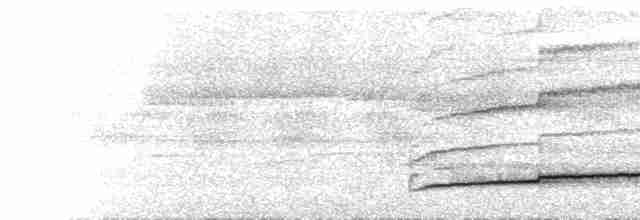 Синеголовый зимородок (capucinus) - ML616862106