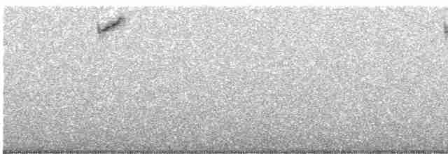 Вулкановый колибри - ML616862515