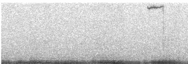 Вулкановый колибри - ML616862519