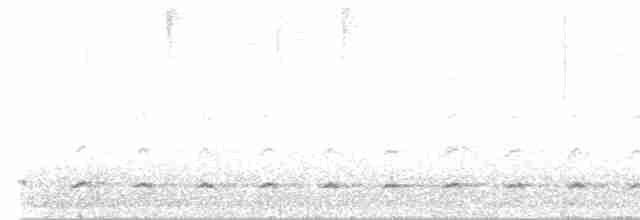 kulíšek patagonský - ML616863365