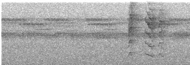 Тиран-інка андійський - ML616865478