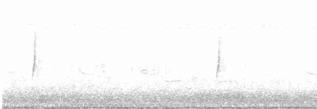 tyranovec malinký - ML616868635