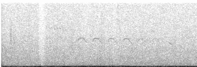 Пятнистохвостая пизарита - ML616868815