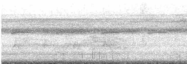 pygmérørdrum - ML616871001