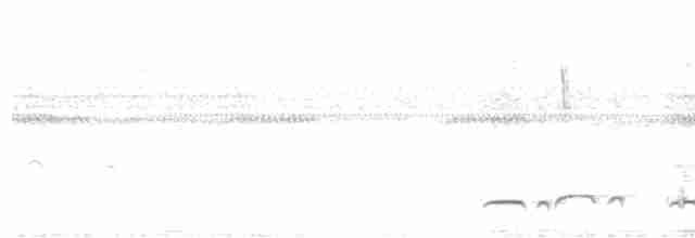 Лінивка-смугохвіст чорнощока - ML616871791