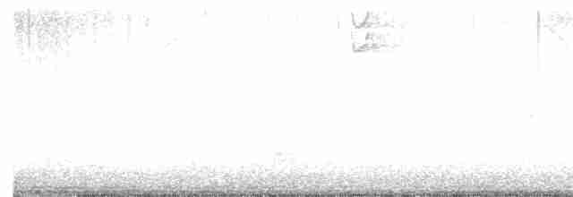 Трясогузковый певун - ML616874495