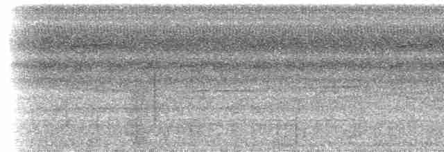 Bıyıklı Karıncaçıvgını (obscura) - ML616876382