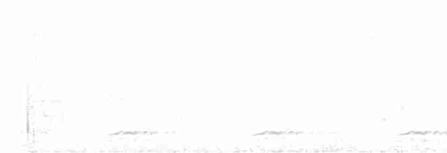 Highland Tinamou - ML616878478