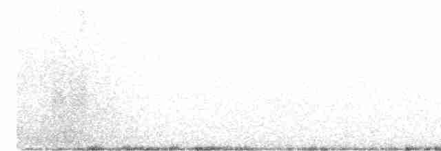 Белокрылая канделита - ML616880617