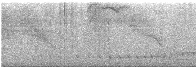 Black-headed Trogon - ML616880717