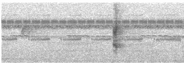 Ardıç Çıtkuşu - ML616881321
