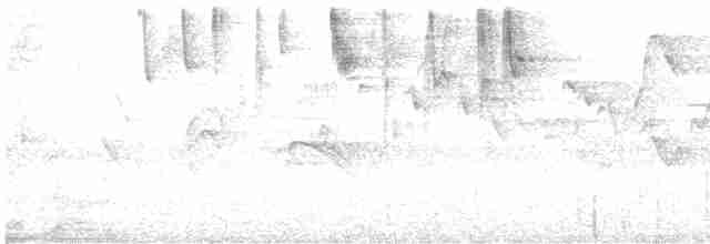 Чернощёкая корольковка - ML616881384