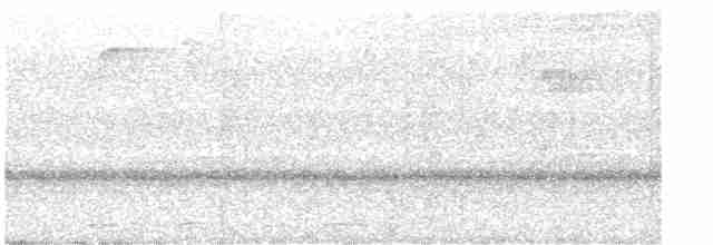 Kısa Gagalı Kızılca Güvercin - ML616882380