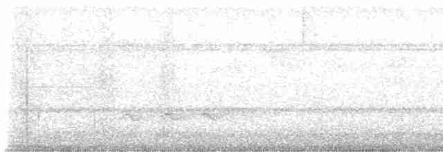 Зелёный сорокопутовый виреон - ML616882467