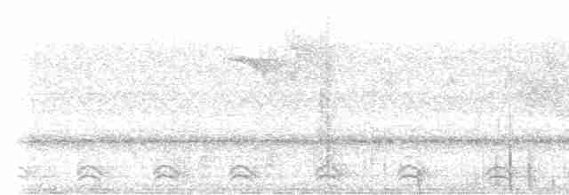 Slaty-tailed Trogon - ML616883714