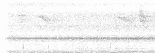 Slaty-tailed Trogon - ML616883715