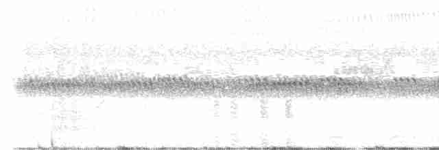 Striped Crake - ML616887147