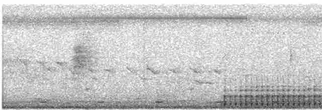 Крапчатогрудый дятел - ML616887528