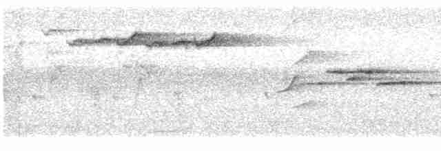 Мухоловка індигова (підвид ruficrissa/cerviniventris) - ML616888189