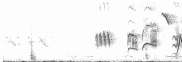 Алондра смугастовола [група naevia] - ML616890936
