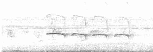 Kestane Tepeli Bekard - ML616891181