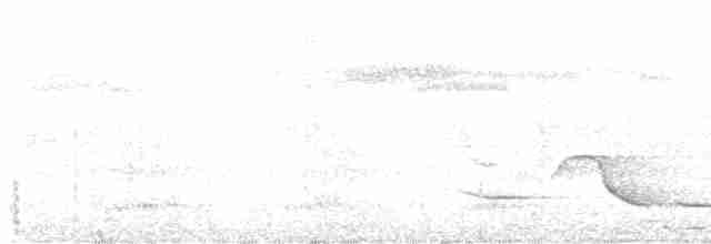 Чернозобый крапивник - ML616891441