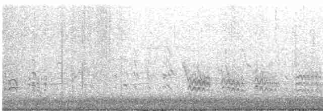 Weißbrustkleiber - ML616892412