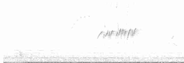 灰山椒鳥 - ML616892990