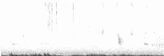 Batılı Mavi Ardıç - ML616893031