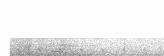 Dschungelnachtschwalbe - ML616893551