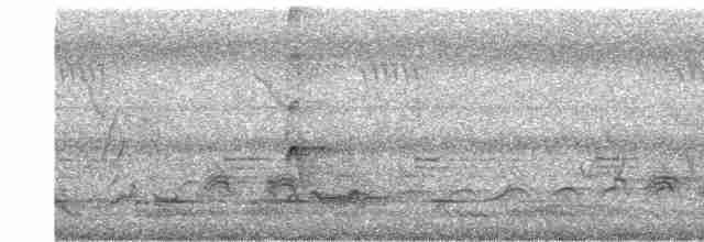 Орел-чубань індійський (підвид cirrhatus/ceylanensis) - ML616894755