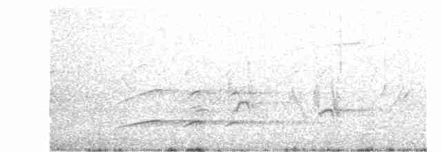 orel proměnlivý (ssp. cirrhatus/ceylanensis) - ML616894962