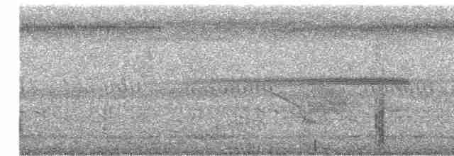 Пестрокрылая йора - ML616895191