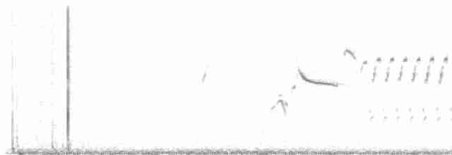 Black-throated Sparrow - ML616896360