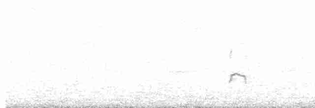 Eurasian Oystercatcher - ML616897361