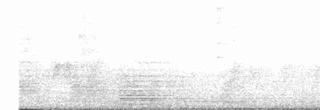 Large-billed Reed Warbler - ML616898730