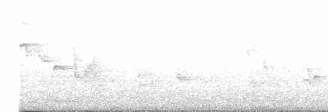Large-billed Reed Warbler - ML616898733