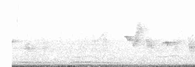 Large-billed Reed Warbler - ML616898739