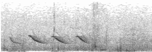Spot-breasted Parrotbill - ML616898823