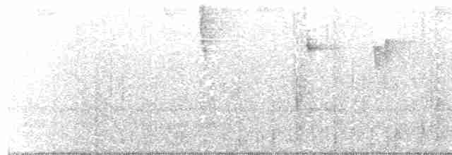 Коронник смугастоголовий - ML616899553