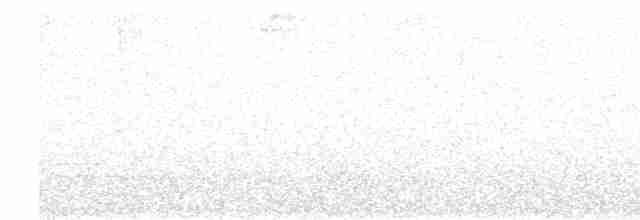 Küçük Antil Sinekkapanı - ML616899729