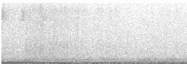Дятел-смоктун білочеревий - ML616901736