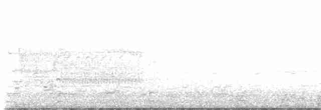 Cisne Trompetero - ML616902340