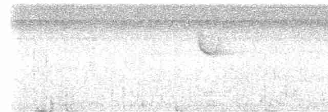 Halsband-Ameisenvogel - ML616903005