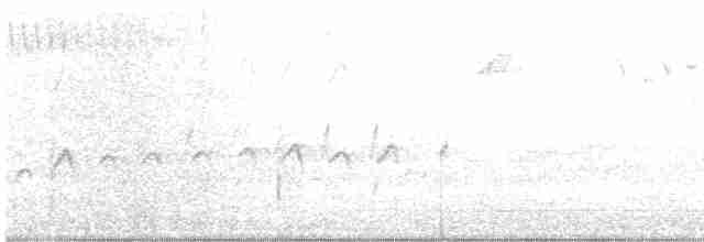 Swallow-tailed Kite - ML616903650