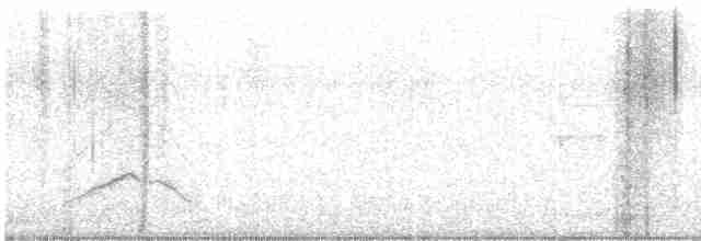 White-crested Elaenia - ML616904662