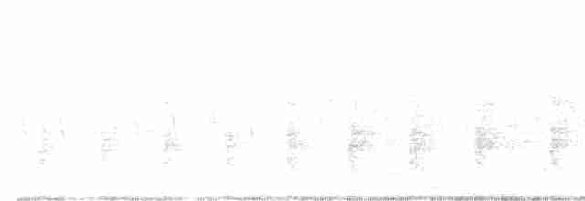 spartinarikse (yumanensis) - ML616905694